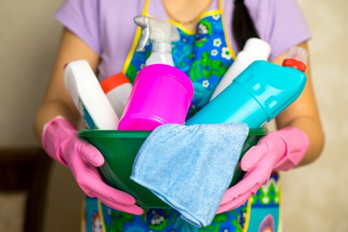 Professional carpet cleaning in a Cudham home interior