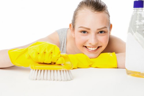 Professional carpet cleaners beginning a detailed clean in a Cudham home