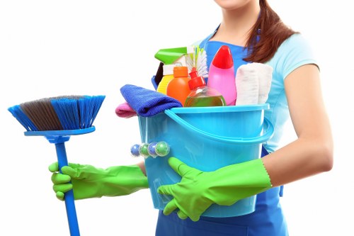 User requesting accessibility support for Cudham Carpet Cleaners