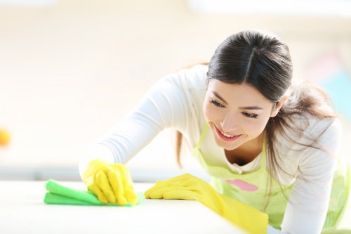 Stain removal and deep cleaning process for a living room sofa in Cudham