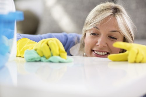 Professional cleaning for pet stains and smells in Cudham