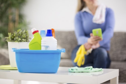 Final review of service terms for a carpet cleaning job