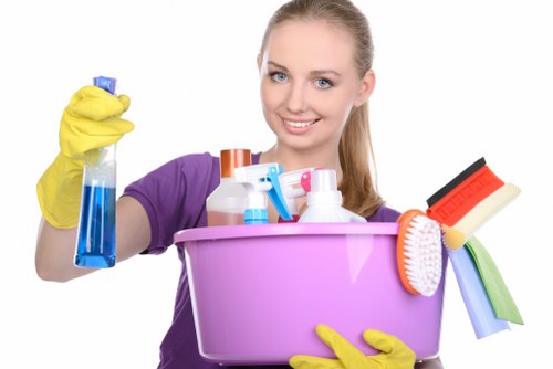 Residential carpet steam cleaning service in Cudham